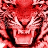 RedTiger