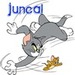 junkitunki