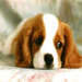 Patxi00