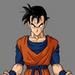 future_gohan