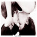 neree_vlc