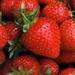 straw_berry